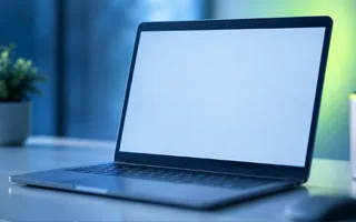 WordPress mit weißem Bildschirm und Fehler 500